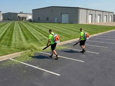 Spring & Fall Clean Up